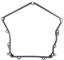 Engine Timing Cover Gasket VG T31531