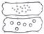 Engine Valve Cover Gasket Set VG VS50364