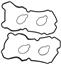 Engine Valve Cover Gasket Set VG VS50465