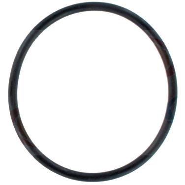 Engine Coolant Thermostat Gasket AG AWO2084