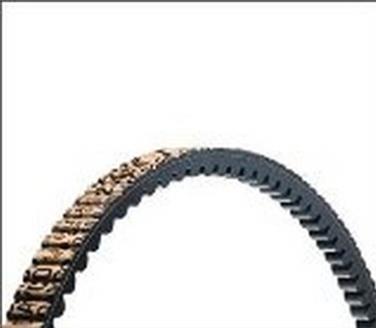 Accessory Drive Belt DY 17585