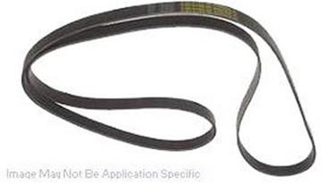 Serpentine Belt DY 5030310