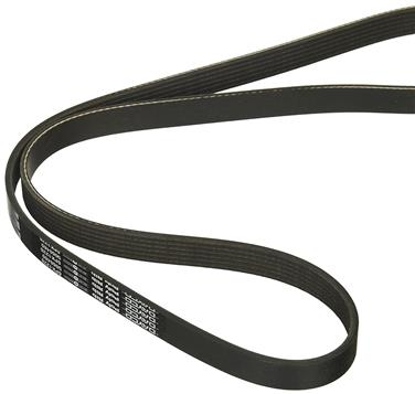 Serpentine Belt DY 5060480