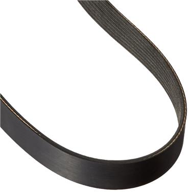 Serpentine Belt DY 5080425