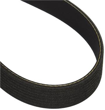 Serpentine Belt DY 5081305