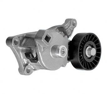 Drive Belt Tensioner Assembly DY 89217