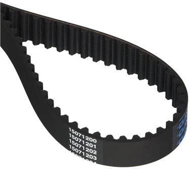 Engine Timing Belt DY 95179