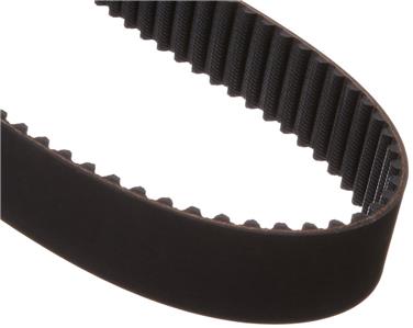 Engine Timing Belt DY 95253