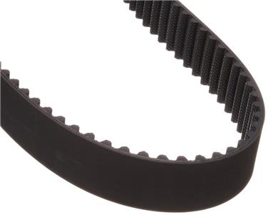 Engine Timing Belt DY 95286