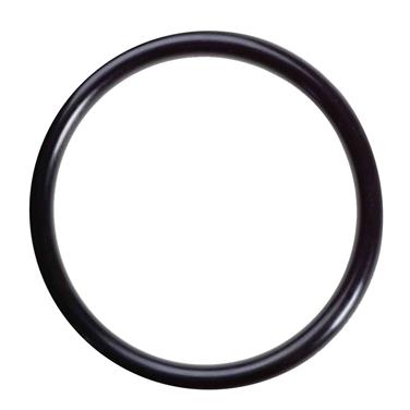 Engine Coolant Outlet O-Ring FP 416