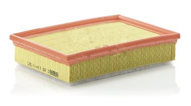 Air Filter M6 C 25 114/1