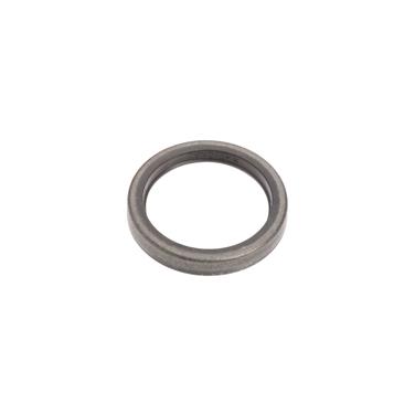 Steering Gear Sector Shaft Seal NS 313842