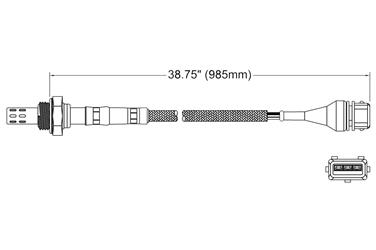 Oxygen Sensor O2 250-23018