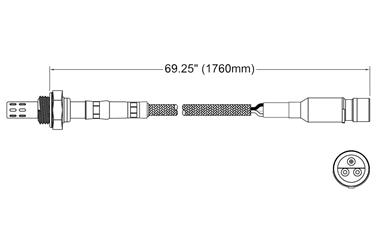 Oxygen Sensor O2 250-23034