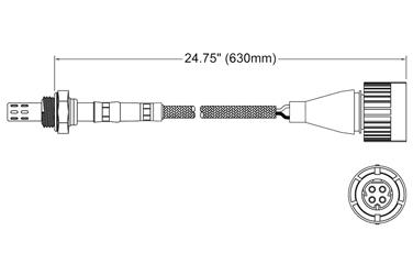 Oxygen Sensor O2 250-24024