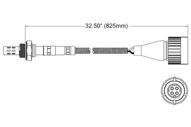 Oxygen Sensor O2 250-24025