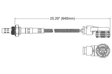 Oxygen Sensor O2 250-24044