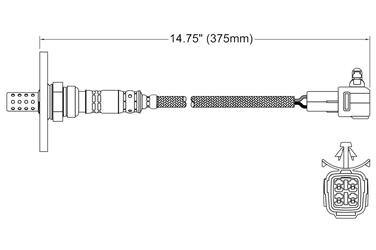 Oxygen Sensor O2 250-24051