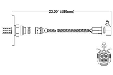 Oxygen Sensor O2 250-24055