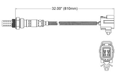 Oxygen Sensor O2 250-24128