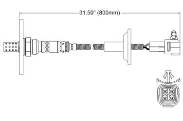 Oxygen Sensor O2 250-24152