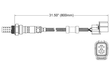 Oxygen Sensor O2 250-24347