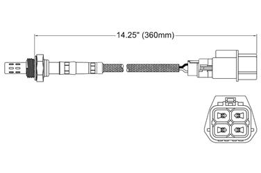 Oxygen Sensor O2 250-24434