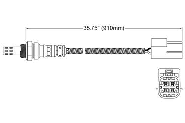 Oxygen Sensor O2 250-24451