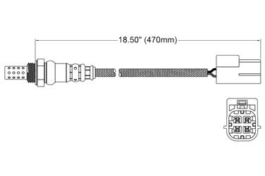 Oxygen Sensor O2 250-24453