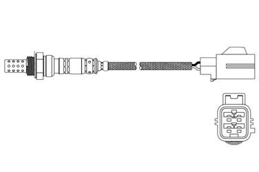 Oxygen Sensor O2 250-24509