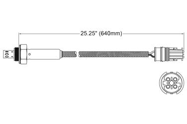 Oxygen Sensor O2 250-24515