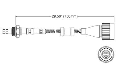 Oxygen Sensor O2 250-24613