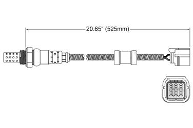 Oxygen Sensor O2 250-24799