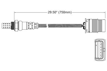 Oxygen Sensor O2 250-24991