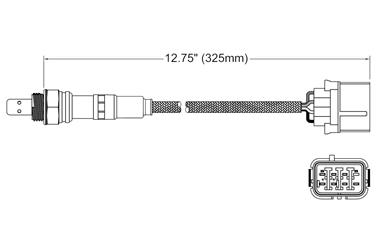 Oxygen Sensor O2 250-25001