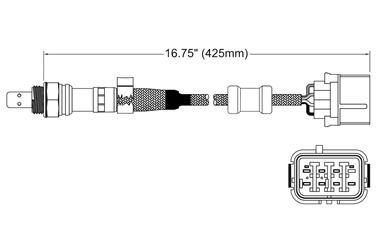 Oxygen Sensor O2 250-25055