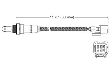 Oxygen Sensor O2 250-25056