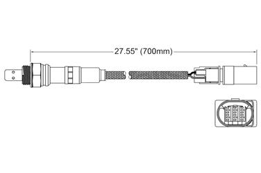 Oxygen Sensor O2 250-25065