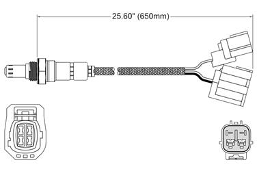 Oxygen Sensor O2 250-25069