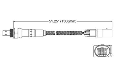 Oxygen Sensor O2 250-25081