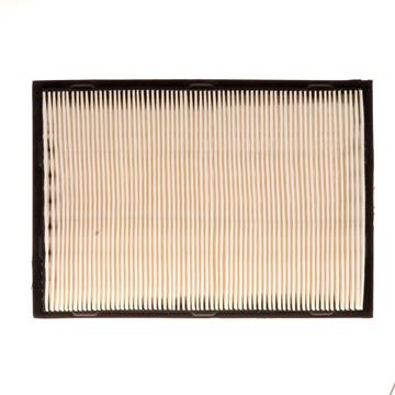 Air Filter PG PA4490