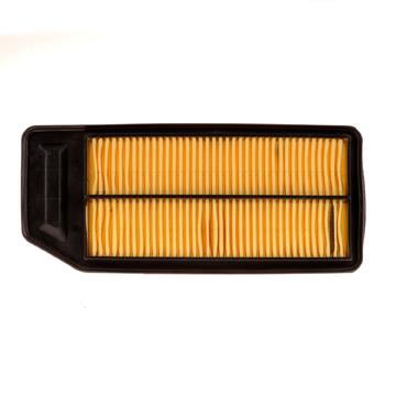 Air Filter PG PA5503