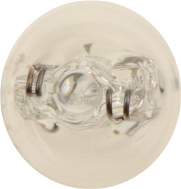 Instrument Panel Light Bulb PL 24B2