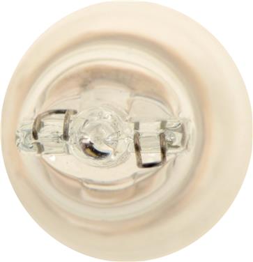 Dome Light Bulb PL 916B2