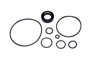 Power Steering Pump Seal Kit S5 8401301