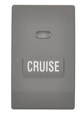 Cruise Control Switch SI CCA1175