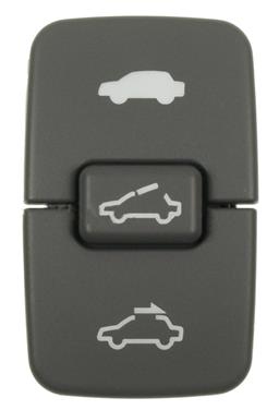 Sunroof Switch SI DS-3257