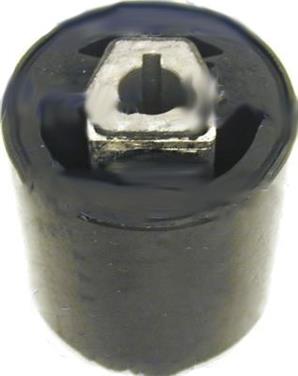 Suspension Control Arm Bushing UR 31121096372