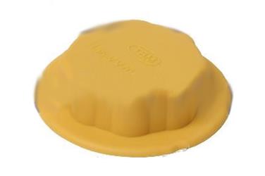 Engine Coolant Reservoir Cap UR 4395570