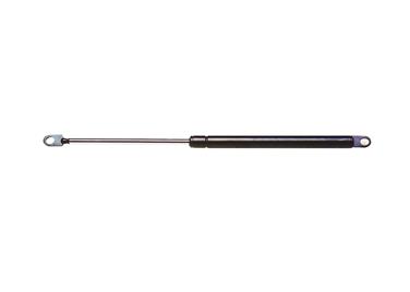 Hood Lift Support Z1 4491